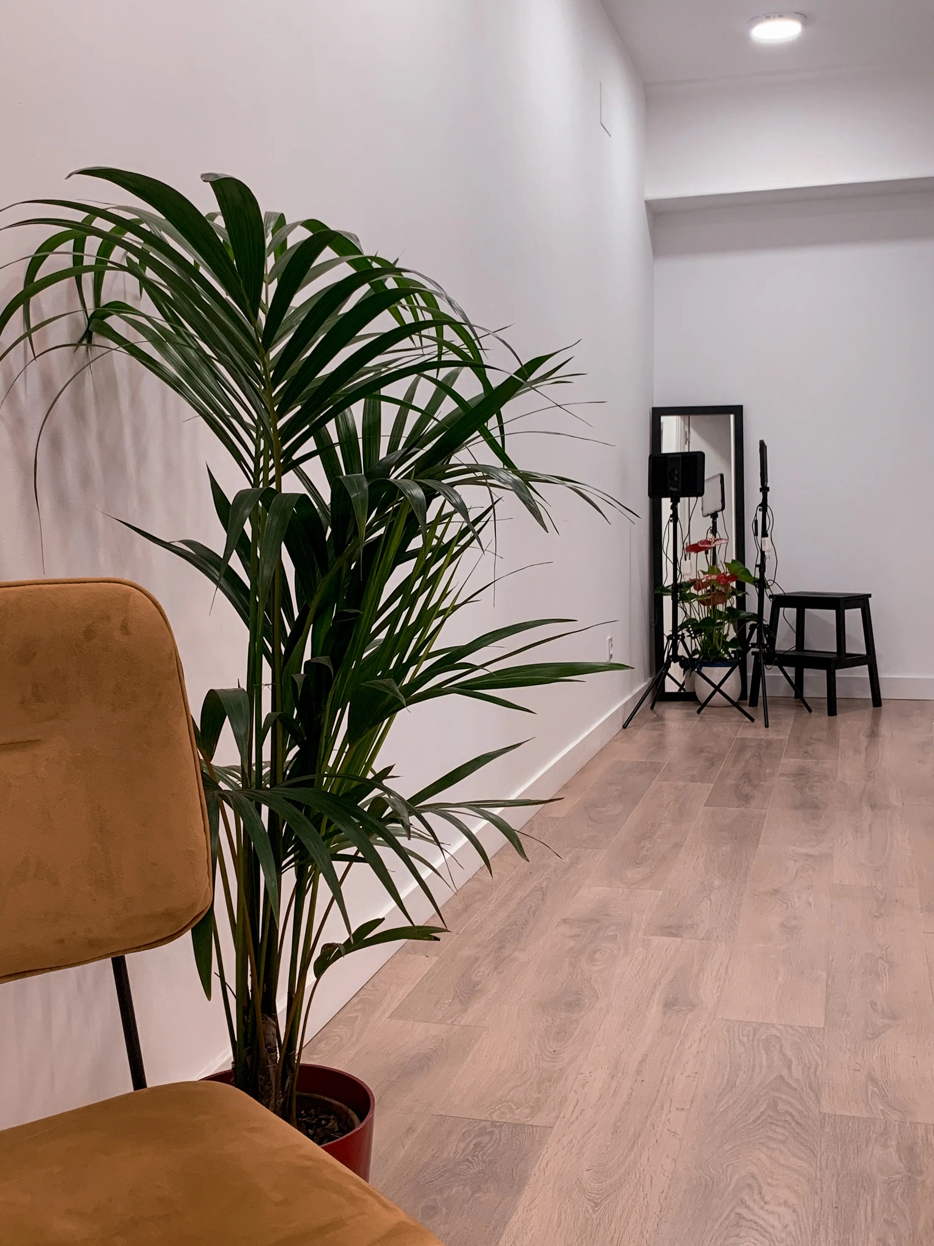 silla